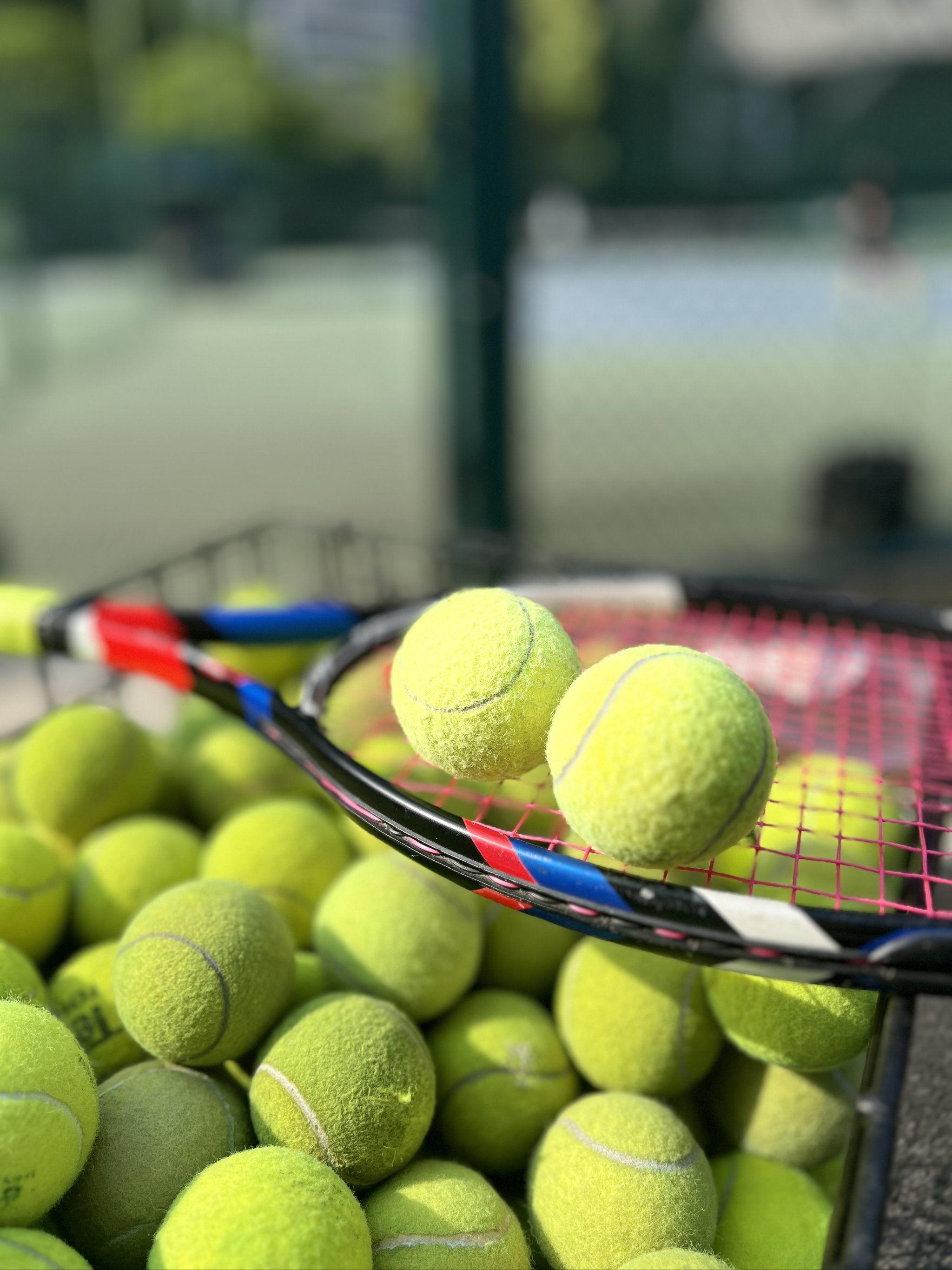 公开赛八强 公开赛八强